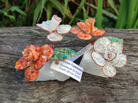 Hand Made Gemstone Double Rose Small - Sold Per Piece - From South Africa