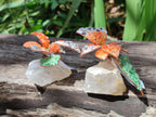 Hand Made Large Gemstone Orchid Flower - Sold Per Piece - From South Africa - Toprock Gemstones and Minerals 