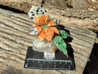 Hand Made Large Gemstone Orchid Flower - Sold Per Piece - From South Africa - Toprock Gemstones and Minerals 