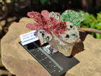 Hand Made Large Gemstone Orchid Flower - Sold Per Piece - From South Africa - Toprock Gemstones and Minerals 