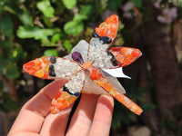 Hand Made Tumbled Stones Dragonfly Gemstones - Sold Per Item - From South Africa