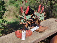 Hand Made Gemstone Red Poker Aloe Trees - Sold Per Item - From South Africa