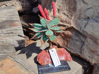 Hand Made Gemstone Red Poker Aloe Trees - Sold Per Item - From South Africa