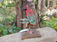 Hand Made Gemstone Red Poker Aloe Trees - Sold Per Item - From South Africa
