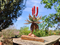 Hand Made Gemstone Red Poker Aloe Trees - Sold Per Item - From South Africa