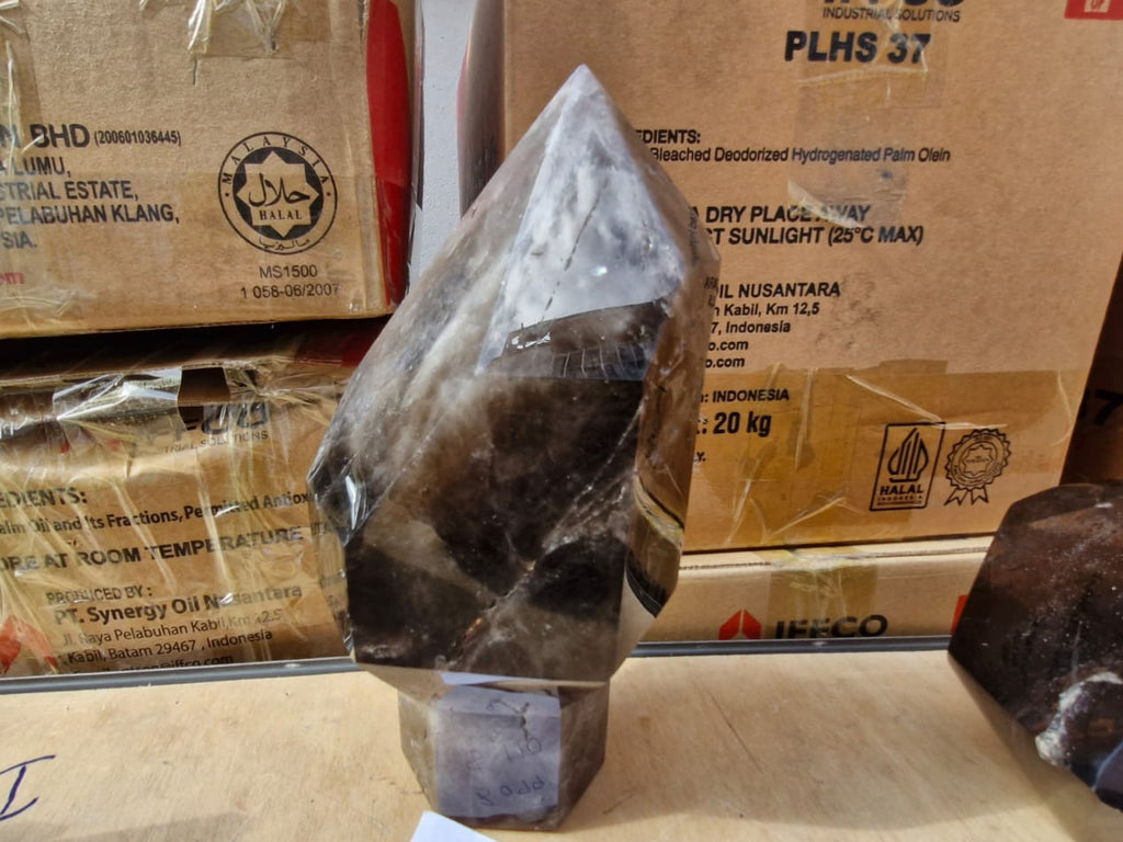 (+12 WEEKS!) Polished Large Smokey Quartz Sceptre Display Crystal x 1 From Madagascar