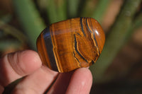 Polished Golden Tigers Eye Free Forms x 18 From Southern Africa