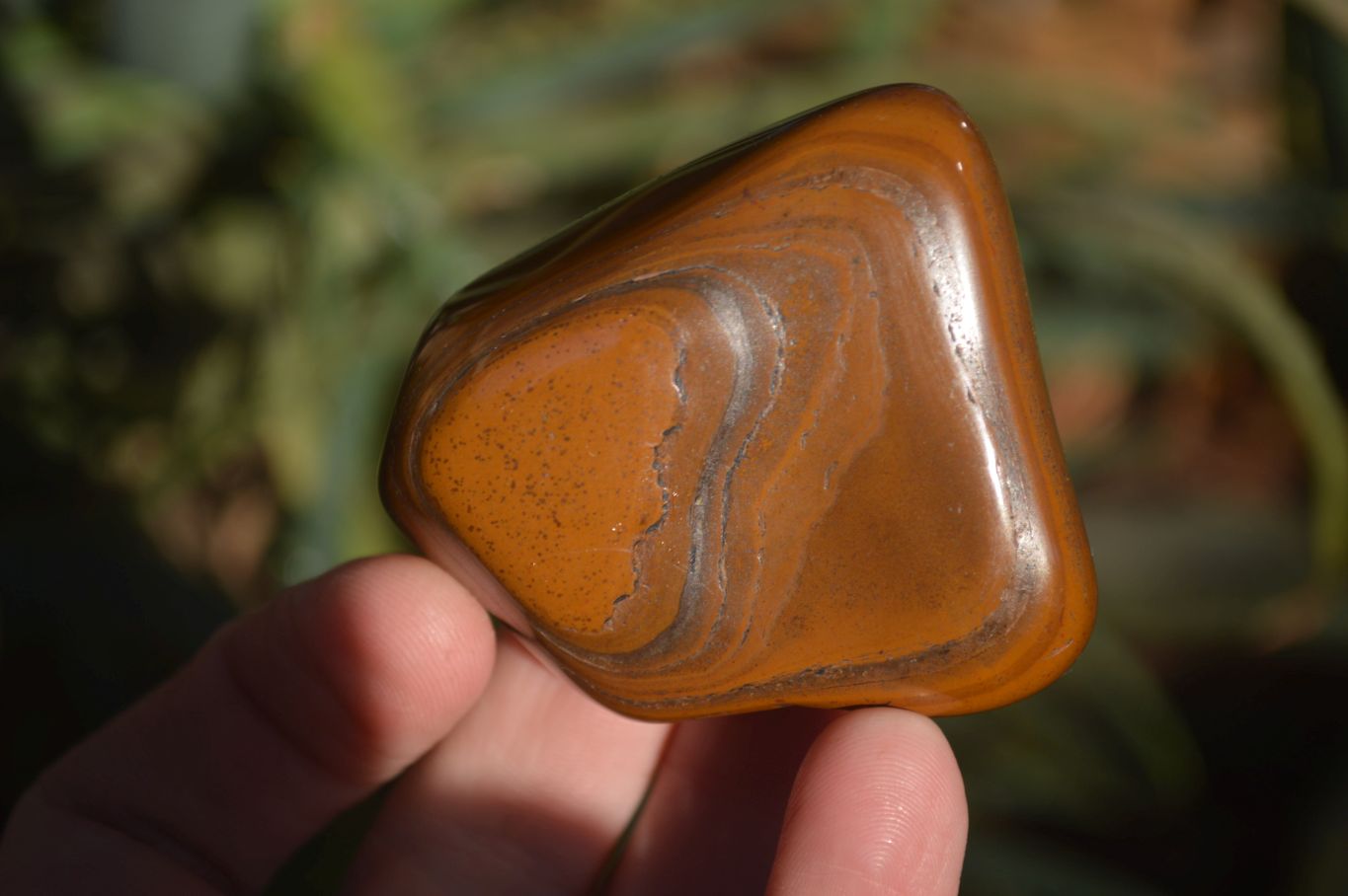 Polished Golden Tigers Eye Free Forms x 18 From Southern Africa - Toprock Gemstones and Minerals 