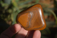 Polished Golden Tigers Eye Free Forms x 18 From Southern Africa