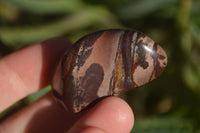 Polished Golden Tigers Eye Free Forms x 18 From Southern Africa
