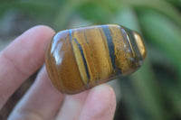 Polished Golden Tigers Eye Free Forms x 18 From Southern Africa
