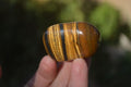 Polished Golden Tigers Eye Free Forms x 18 From Southern Africa - Toprock Gemstones and Minerals 