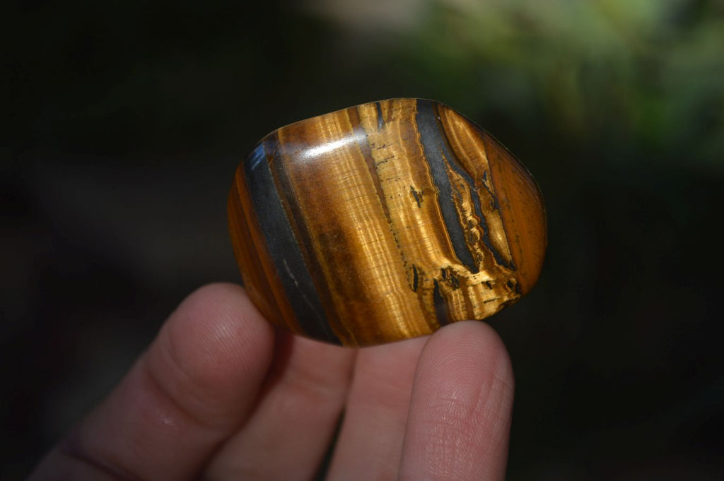 Polished Golden Tigers Eye Free Forms x 18 From Southern Africa - Toprock Gemstones and Minerals 