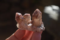 Natural Red Hematoid Quartz Specimens x 12 From Karoi, Zimbabwe - Toprock Gemstones and Minerals 