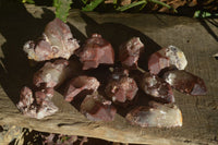 Natural Red Hematoid Quartz Specimens x 12 From Karoi, Zimbabwe - Toprock Gemstones and Minerals 