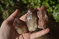 Natural Red Hematoid Quartz Specimens x 12 From Karoi, Zimbabwe - Toprock Gemstones and Minerals 