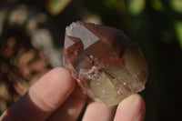Natural Red Hematoid Quartz Specimens x 12 From Karoi, Zimbabwe - Toprock Gemstones and Minerals 