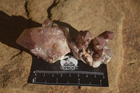 Natural Red Hematoid Quartz Specimens x 12 From Karoi, Zimbabwe - Toprock Gemstones and Minerals 