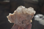 Natural Smokey Quartz Clusters x 3 From Luena, Congo - Toprock Gemstones and Minerals 