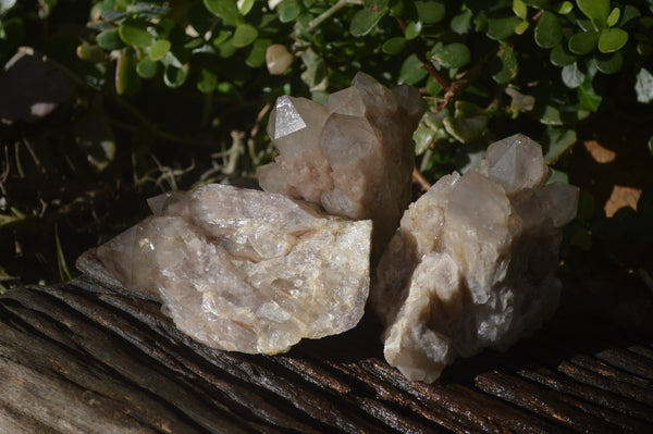 Natural Smokey Quartz Clusters x 3 From Luena, Congo - Toprock Gemstones and Minerals 