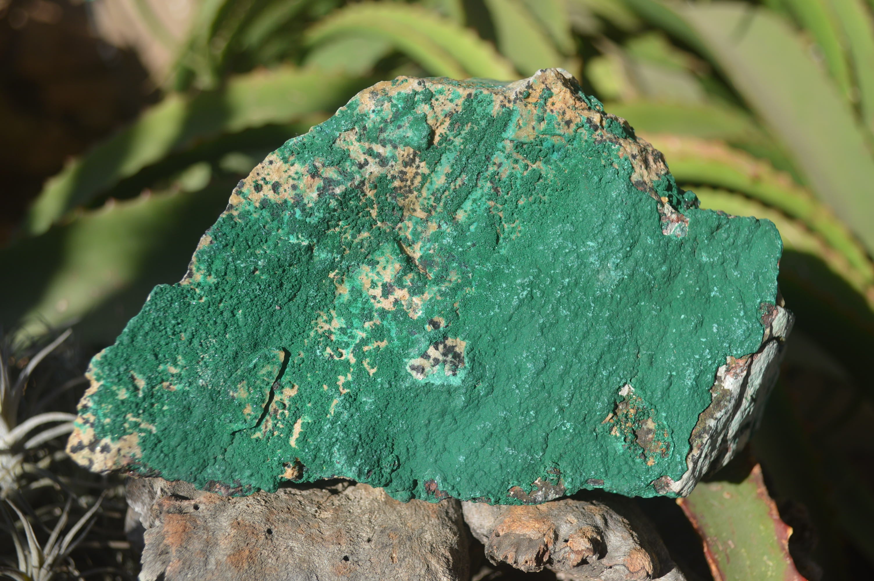 Natural Crystalline Malachite Specimens  x 2 From Congo - Toprock Gemstones and Minerals 