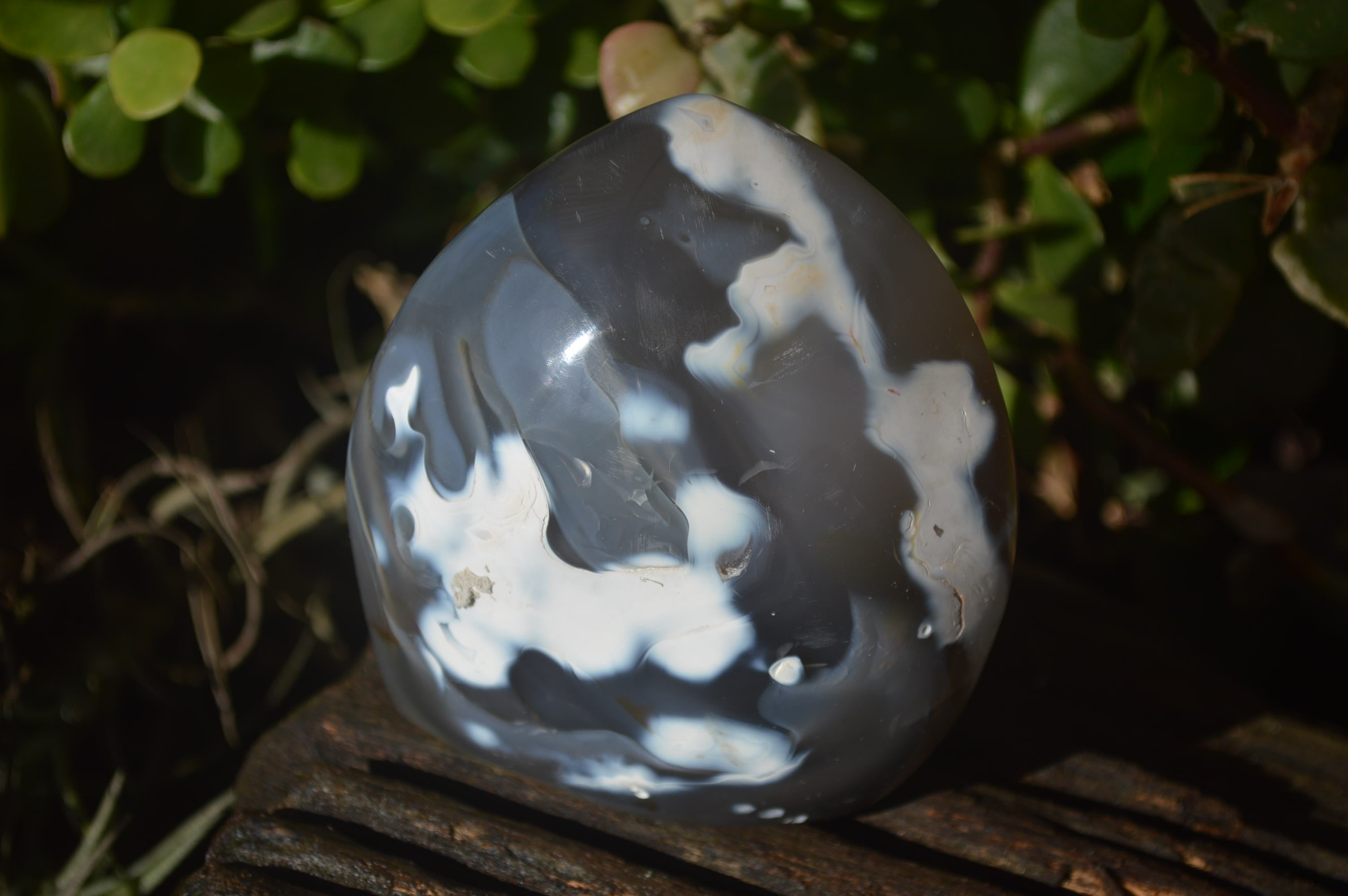 Polished Dendritic Agate Standing Free Forms  x 6 From Madagascar - Toprock Gemstones and Minerals 