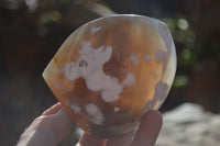 Polished Dendritic Agate Standing Free Forms  x 6 From Madagascar
