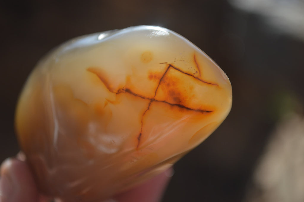 Polished Dendritic Agate Standing Free Forms  x 6 From Madagascar - Toprock Gemstones and Minerals 