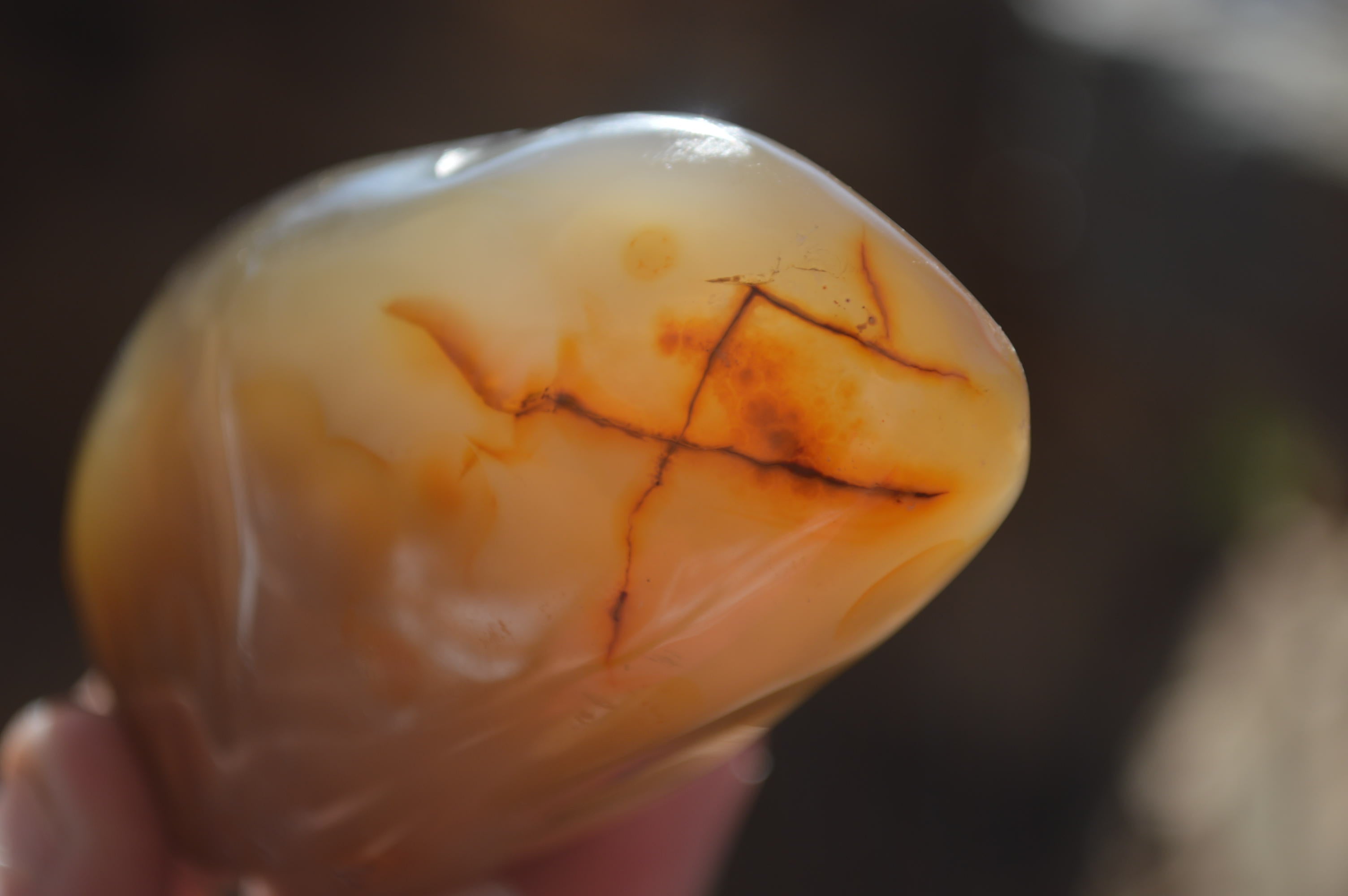 Polished Dendritic Agate Standing Free Forms  x 6 From Madagascar - Toprock Gemstones and Minerals 