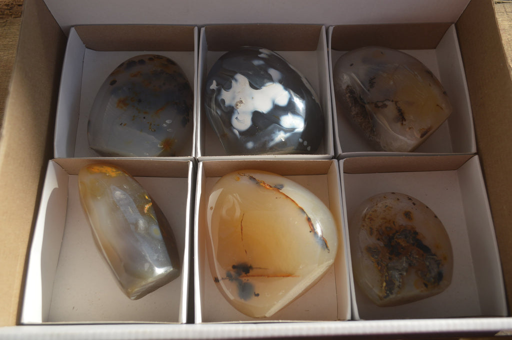 Polished Dendritic Agate Standing Free Forms  x 6 From Madagascar - Toprock Gemstones and Minerals 