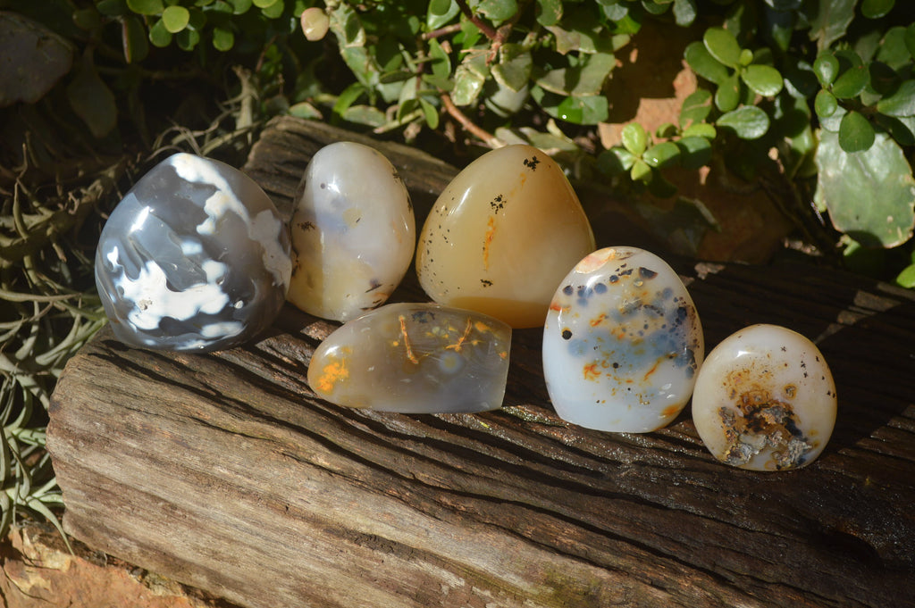 Polished Dendritic Agate Standing Free Forms  x 6 From Madagascar - Toprock Gemstones and Minerals 
