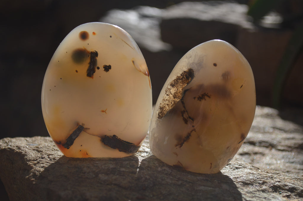 Polished Dendritic Agate Standing Free Forms  x 6 From Madagascar - Toprock Gemstones and Minerals 