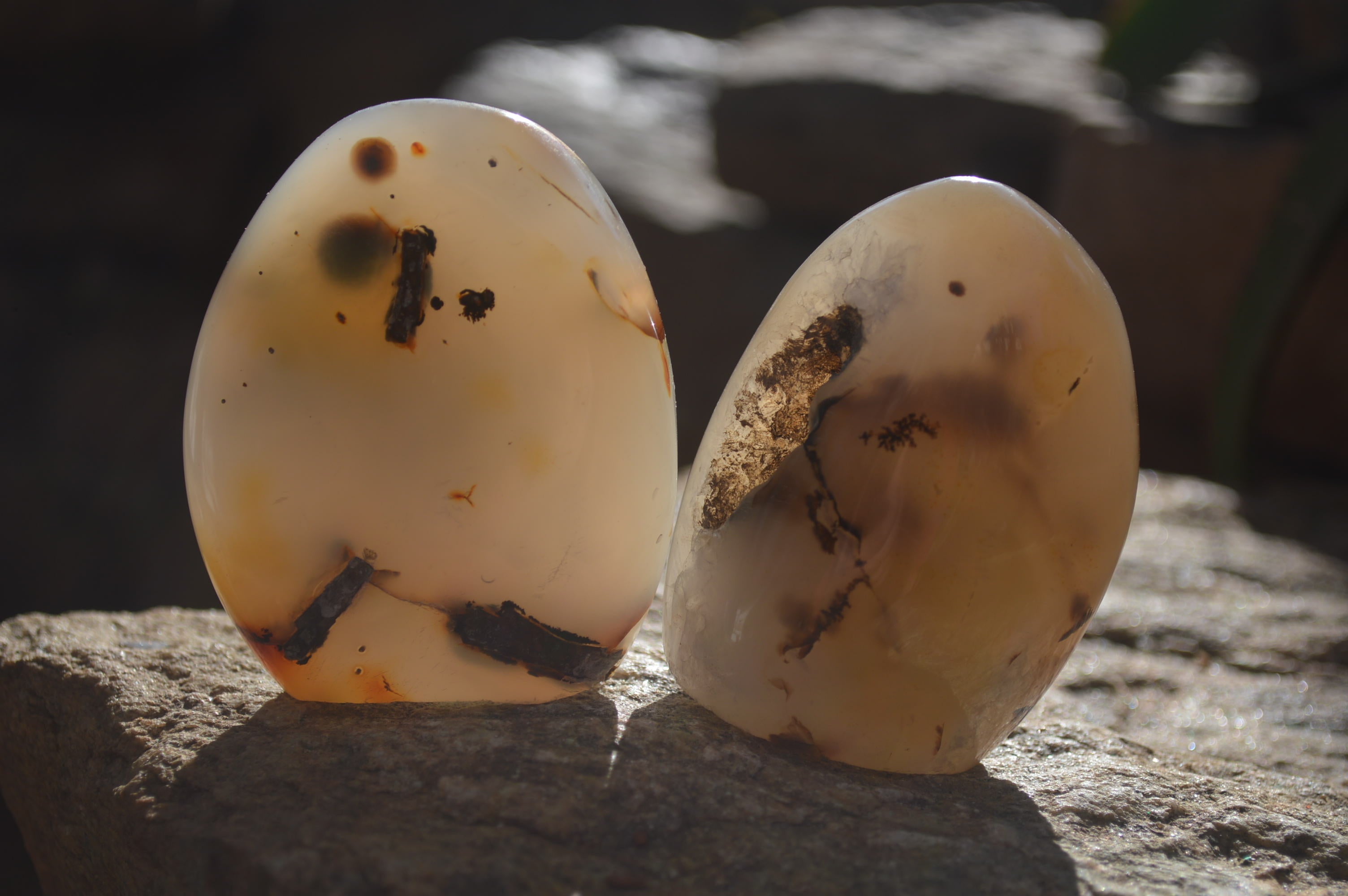 Polished Dendritic Agate Standing Free Forms  x 6 From Madagascar - Toprock Gemstones and Minerals 