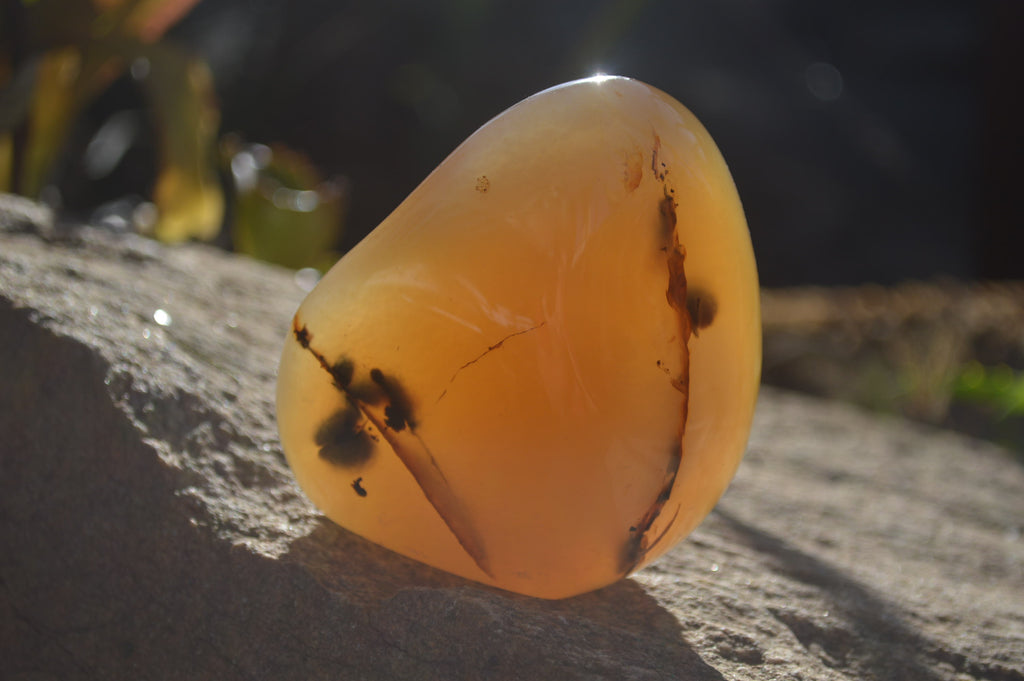 Polished Dendritic Agate Standing Free Forms  x 6 From Madagascar - Toprock Gemstones and Minerals 