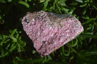 Natural Pink Salrose Cobaltion Dolomite Specimens  x 5 From Kakanda, Congo