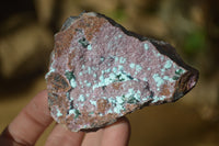 Natural Pink Salrose Cobaltion Dolomite Specimens  x 5 From Kakanda, Congo