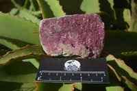 Natural Pink Salrose Cobaltion Dolomite Specimens  x 5 From Kakanda, Congo