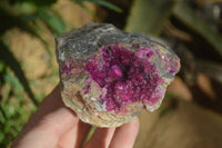 Natural Pink Salrose Cobaltion Dolomite Specimens  x 5 From Kakanda, Congo