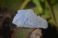 Natural Etched Blue Chalcedony Specimens x 59 From Nsanje, Malawi - Toprock Gemstones and Minerals 