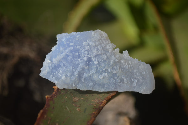 Natural Etched Blue Chalcedony Specimens x 59 From Nsanje, Malawi - Toprock Gemstones and Minerals 