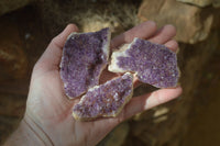 Natural Dark Amethyst Clusters x 12 From Kwaggafontein, South Africa - Toprock Gemstones and Minerals 