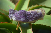 Natural Dark Amethyst Clusters x 12 From Kwaggafontein, South Africa - Toprock Gemstones and Minerals 