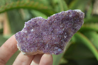 Natural Dark Amethyst Clusters x 12 From Kwaggafontein, South Africa - Toprock Gemstones and Minerals 