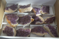 Natural Dark Amethyst Clusters x 12 From Kwaggafontein, South Africa - Toprock Gemstones and Minerals 