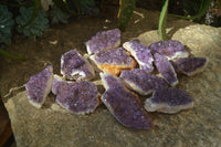 Natural Dark Amethyst Clusters x 12 From Kwaggafontein, South Africa - Toprock Gemstones and Minerals 