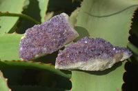 Natural Dark Amethyst Clusters x 12 From Kwaggafontein, South Africa - Toprock Gemstones and Minerals 
