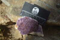 Natural Dark Amethyst Clusters x 12 From Kwaggafontein, South Africa - Toprock Gemstones and Minerals 