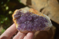 Natural Dark Amethyst Clusters x 12 From Kwaggafontein, South Africa - Toprock Gemstones and Minerals 