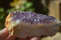 Natural Dark Amethyst Clusters x 12 From Kwaggafontein, South Africa - Toprock Gemstones and Minerals 