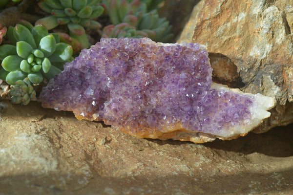 Natural Dark Amethyst Clusters x 12 From Kwaggafontein, South Africa - Toprock Gemstones and Minerals 
